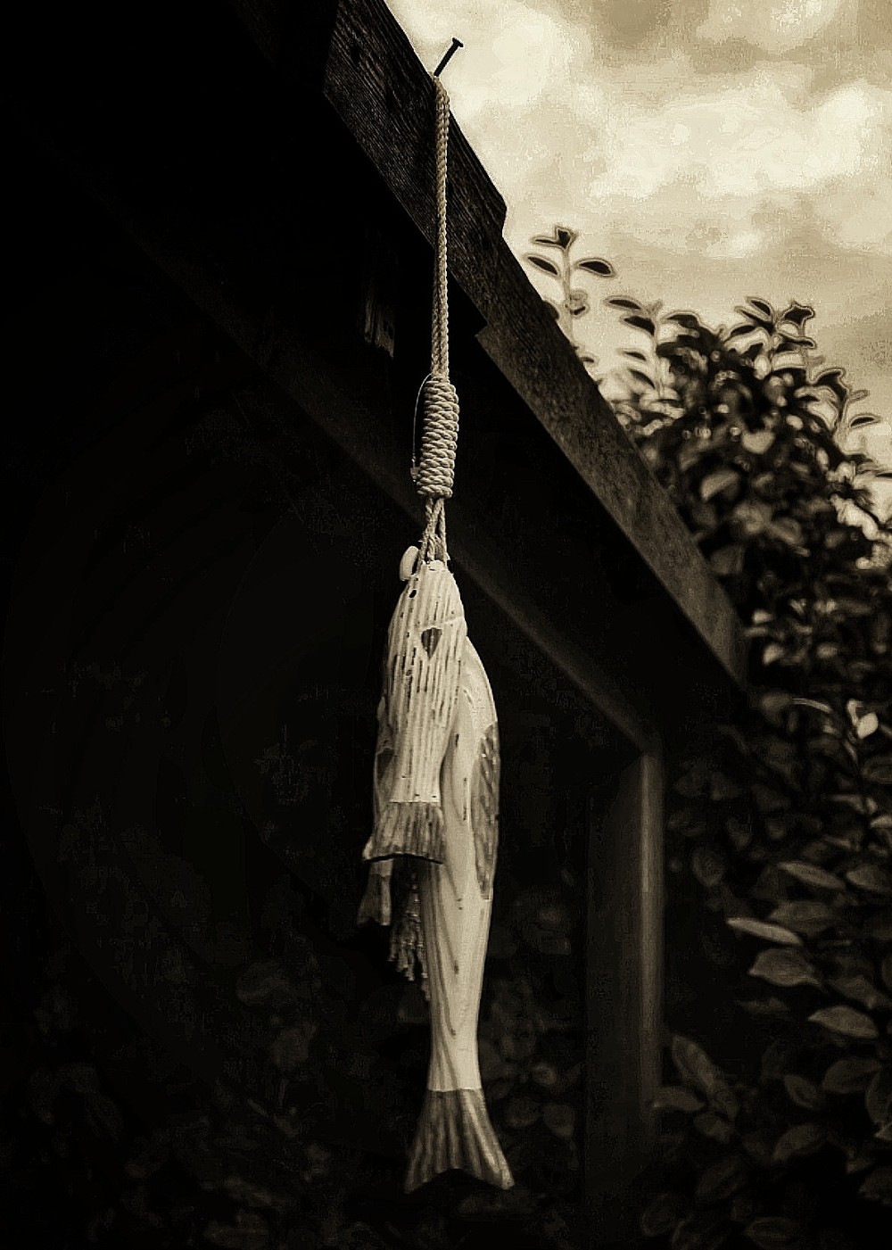 Original edited digital image. 10 x 8 inch digital print, mounted and framed. P. O. A.