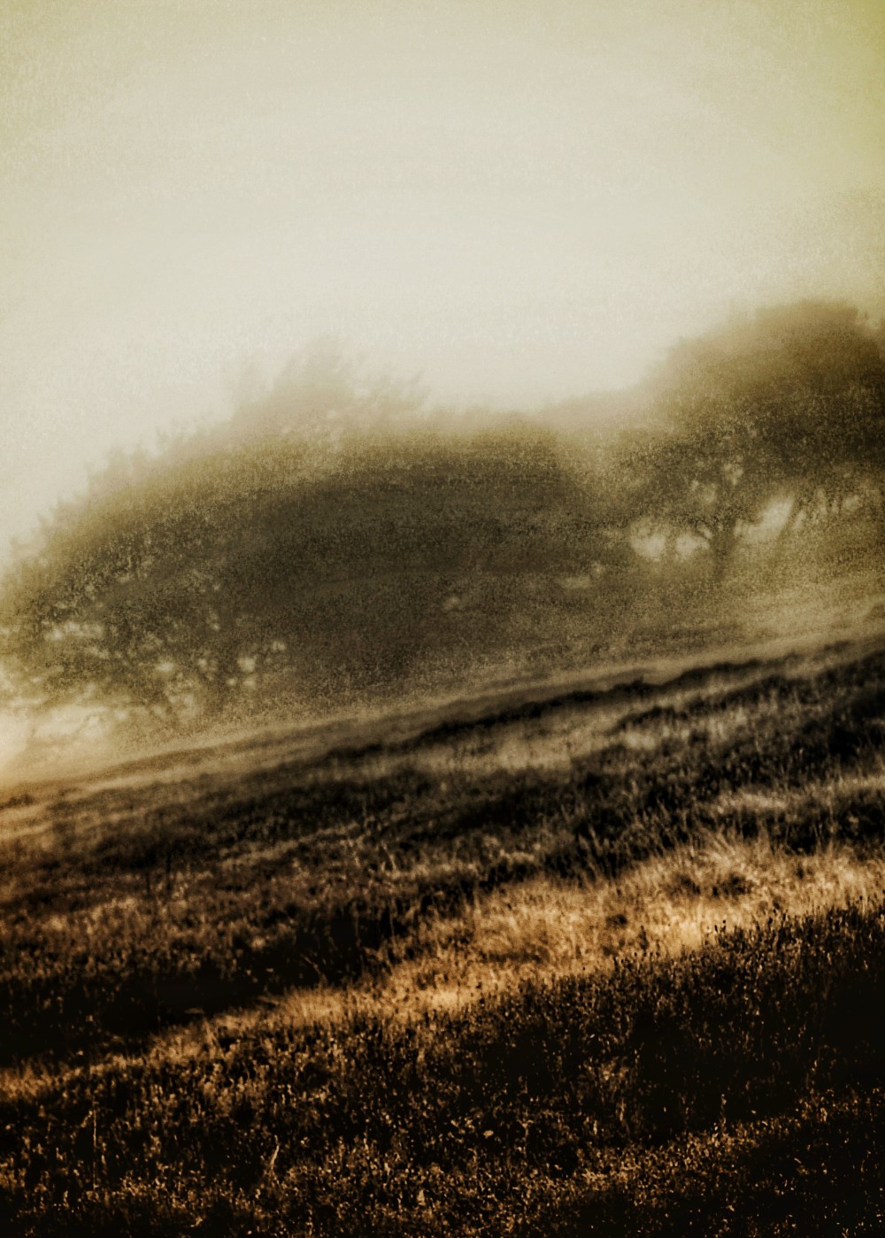 Original edited digital image. 10 x 8 inch colour digital print, mounted and framed. P. O. A.