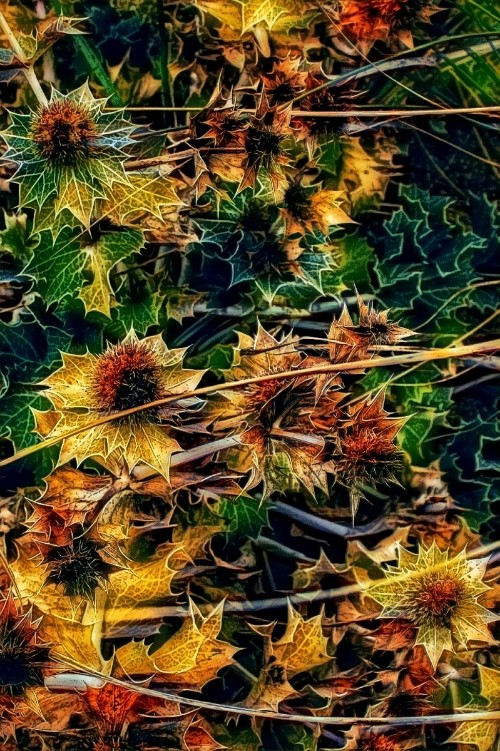 Digital image.
