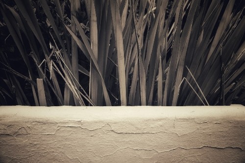 Digital image.