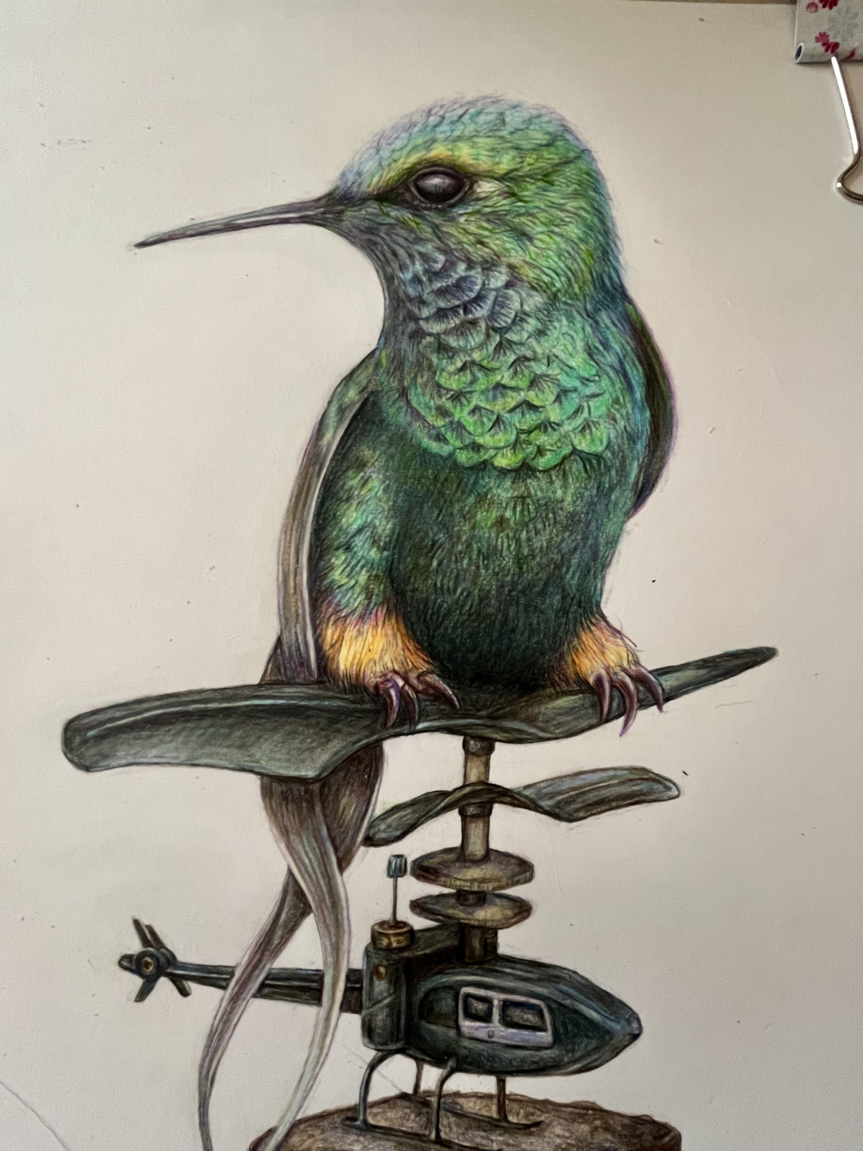 Working in the Chiltern Hills, I look to nature as my inspiration in all its colours and quirks.